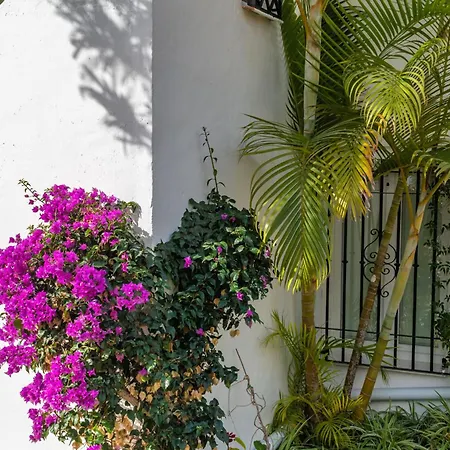Palmas 2a Oasis Casa de Férias