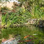 Palmas 2a Oasis Vakantiehuis Nerja